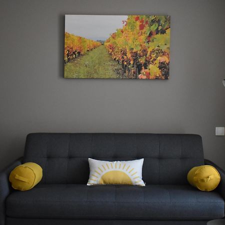 Coeur De Vignes Hotel Saint-Péray Quarto foto